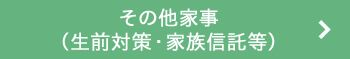 その他家事（生前対策・家族信託党）