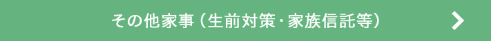 その他家事（生前対策・家族信託党）